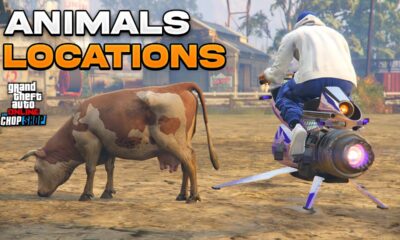List 5 Rare Animal in GTA Online & How to find them
