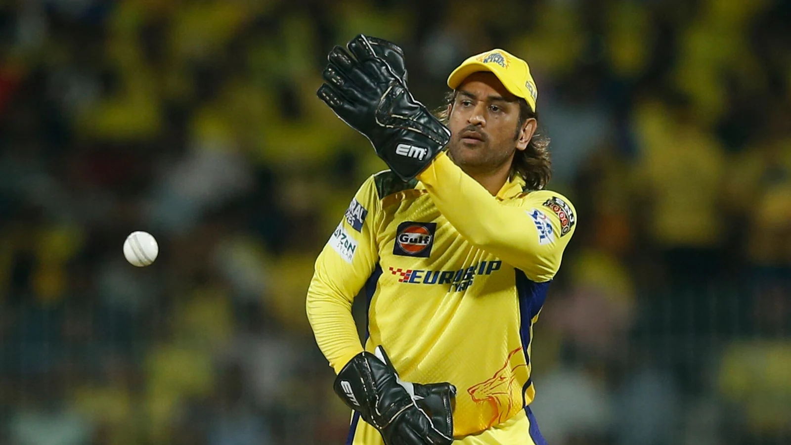 CSK Official's Big Statement on MS Dhoni's Retirement